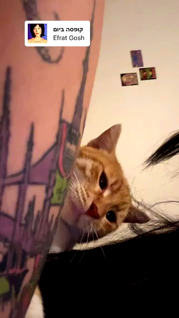 hellowkitty4ever archive video preview