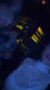 sonia.v._ Altpins Profile Picture
