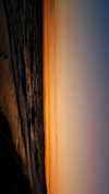 user364002 Altpins Profile Picture