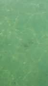 ochya0 Altpins Profile Picture