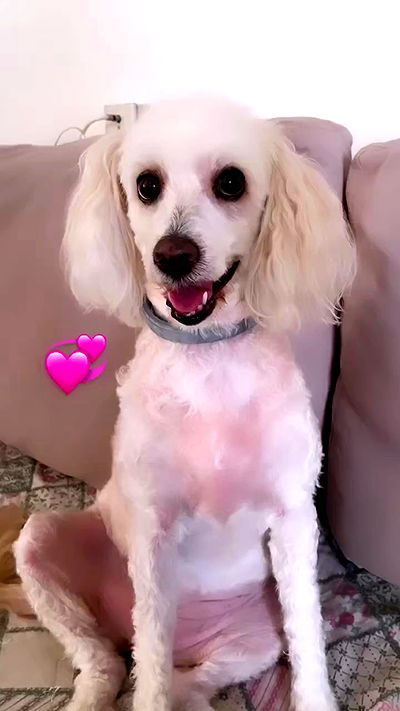 feelbetterinmysweater feelbetterinmysweater archive video