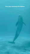 noa_mendel_ Altpins Profile Picture