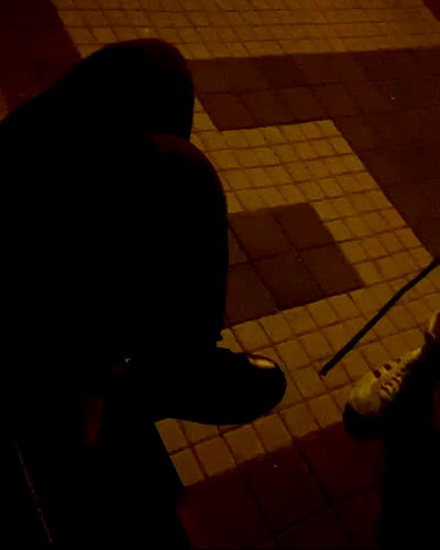 tuliprivet tuliprivet archive video