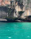 shelly_roberin Altpins Profile Picture