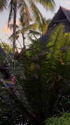 noa_mendel_ Altpins Profile Picture