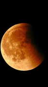 orcoheen Altpins Profile Picture