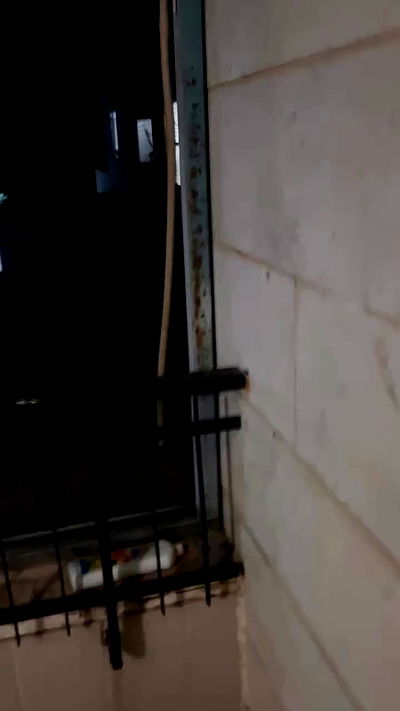 laluzone laluzone archive video