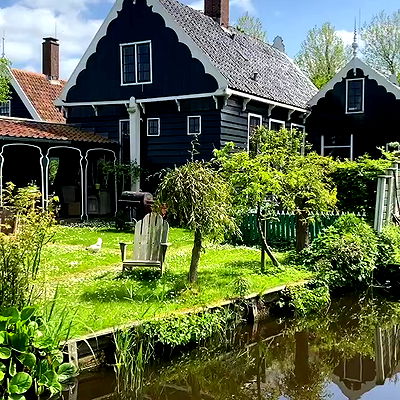 yam_adler yam_adler archive video