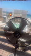 mayedri1 Altpins Profile Picture