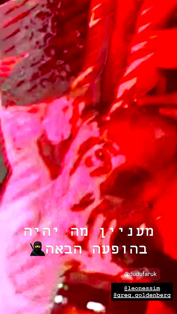 shaipeleg archive video preview