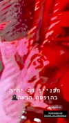 shaipeleg Altpins Profile Picture
