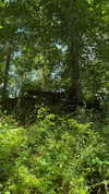 sarah.anne.dipity Altpins Profile Picture