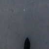 alexuhh_g Altpins Profile Picture