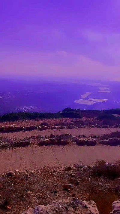 feelbetterinmysweater feelbetterinmysweater archive video