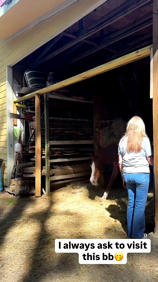 melislie archive video preview