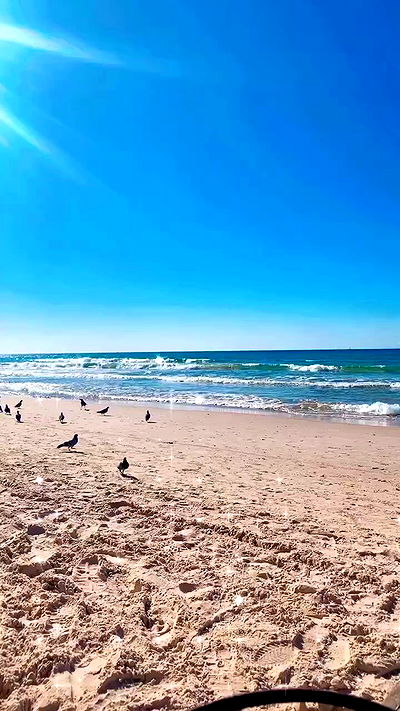 yam_adler yam_adler archive video