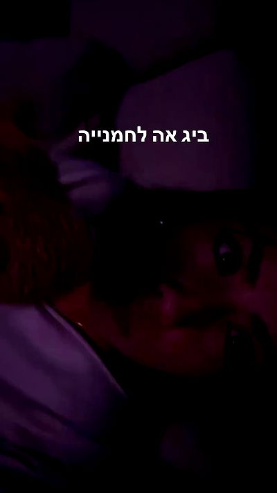 tuliprivet tuliprivet archive video