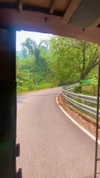 a.shaked_ Altpins Profile Picture
