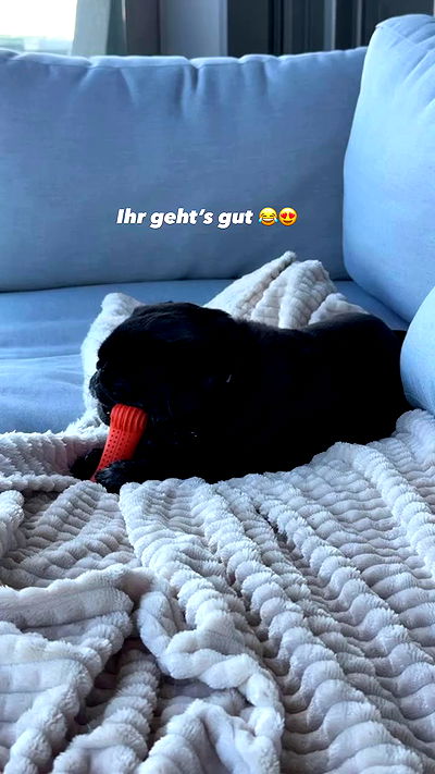 alexis.blond alexis.blond archive video