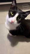 maayan191 Altpins Profile Picture