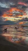 roni_ackerman Altpins Profile Picture