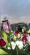 larin_manor10 Altpins Profile Picture