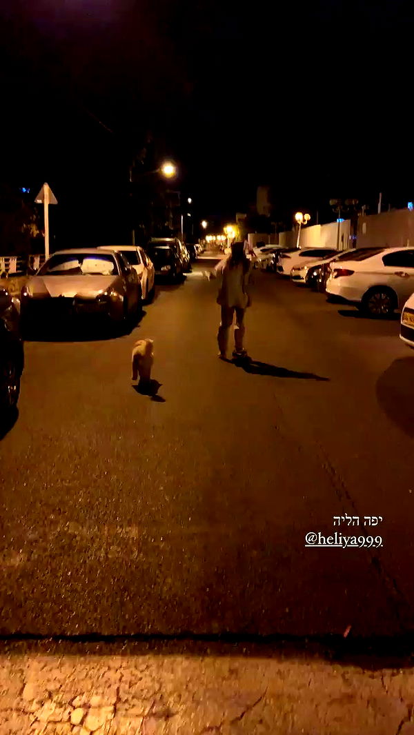 feelbetterinmysweater archive video preview