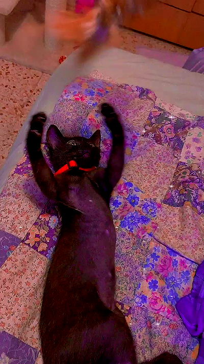 feelbetterinmysweater feelbetterinmysweater archive video