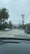 sydney_melman Altpins Profile Picture