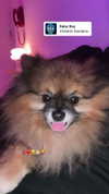 _batzir_haanavim Altpins Profile Picture