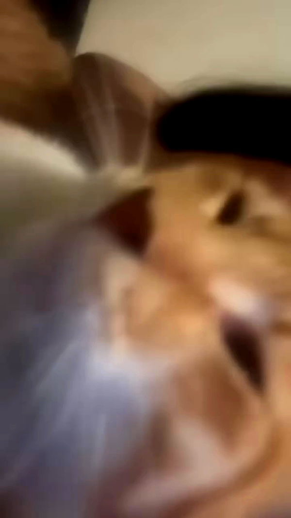 hellokittyangel666 archive video preview