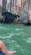 amit.yaron Altpins Profile Picture