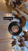 zz.eazoning Altpins Profile Picture