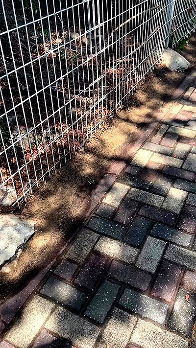 feelbetterinmysweater feelbetterinmysweater archive video