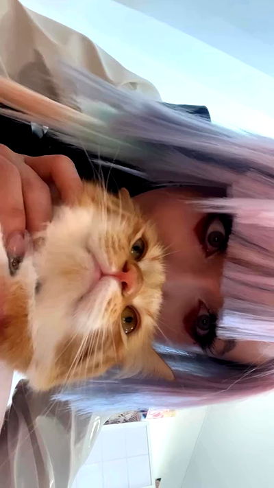 iheartpidge iheartpidge archive video