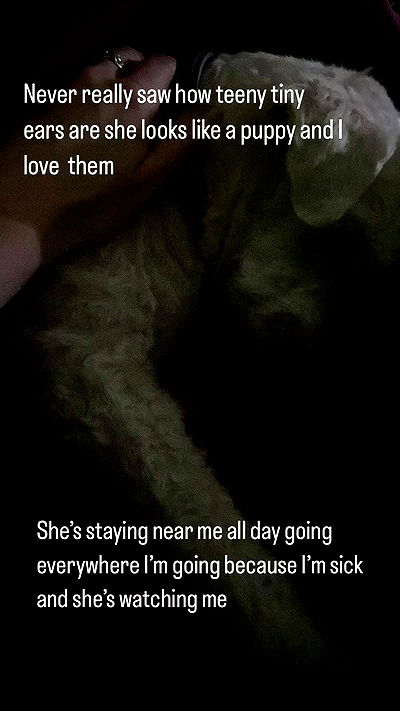 feelbetterinmysweater feelbetterinmysweater archive video