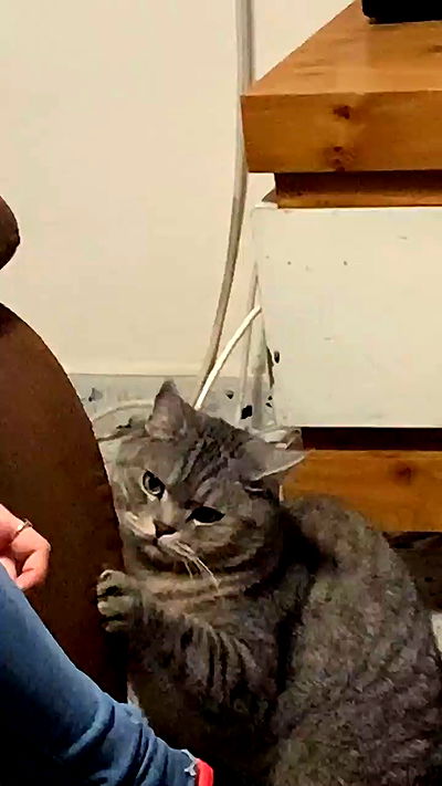 neomiconrad neomiconrad archive video