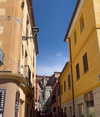 alenittta Altpins Profile Picture