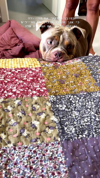 kesemgreenyer kesemgreenyer archive video