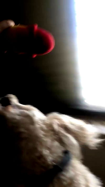 feelbetterinmysweater feelbetterinmysweater archive video