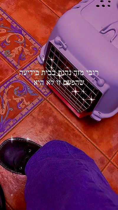 feelbetterinmysweater feelbetterinmysweater archive video