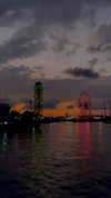 lital.oss Altpins Profile Picture