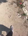 _batzir_haanavim Altpins Profile Picture