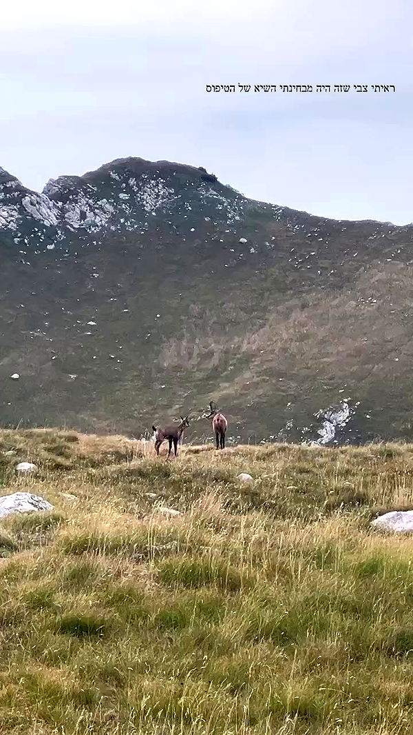 itsilanosh archive video preview