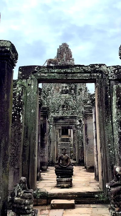 kesemgreenyer kesemgreenyer archive video