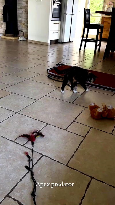 itsilanosh itsilanosh archive video