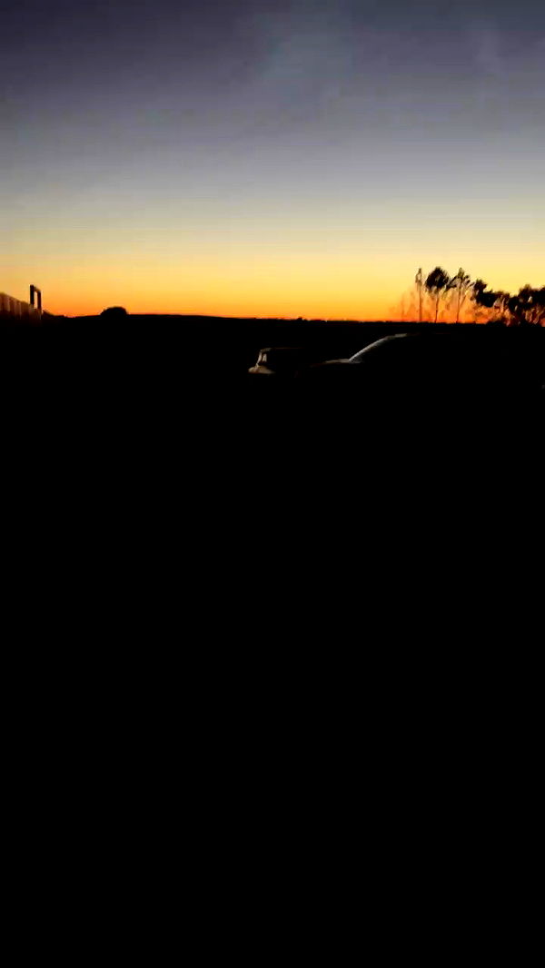 nyityam archive video preview