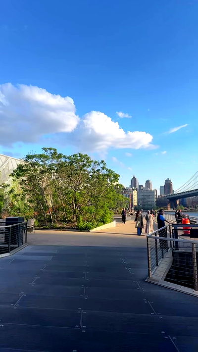 biton__adi biton__adi archive video