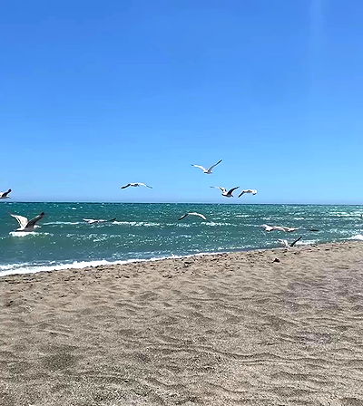 yam_adler yam_adler archive video