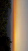 hadas_mayer_ Altpins Profile Picture